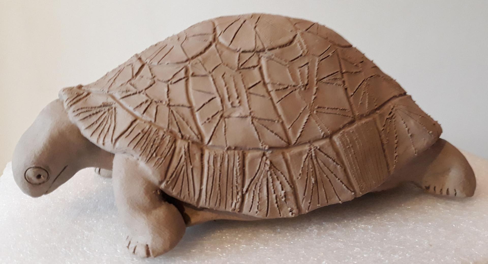 Tortue modelage 3