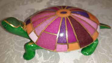 Tortue porcelaine 2